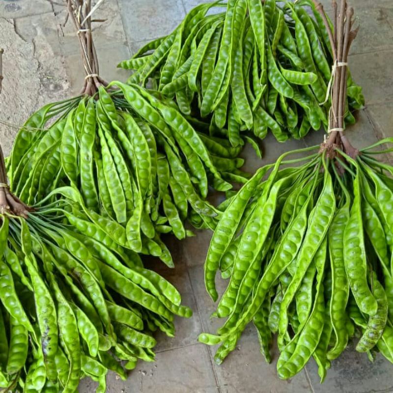 

pete 1 ikat isi 100 papan murah