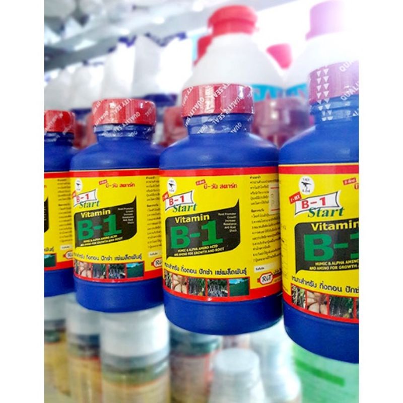 vitamin b 1 thailand