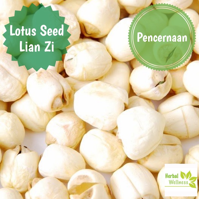 

Lotus Seed Premium 37gr - Lian Zi Biji Teratai Lian Zhi LienCi Lien Ci