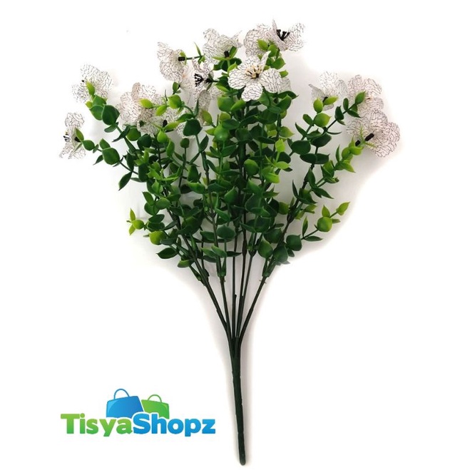 Bunga Violet Eucalyptus 7 cabang / Bunga Pinus Dolar Violet