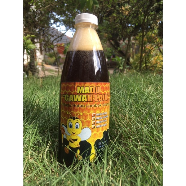 

MADU HITAM HUTAN LOMBOK