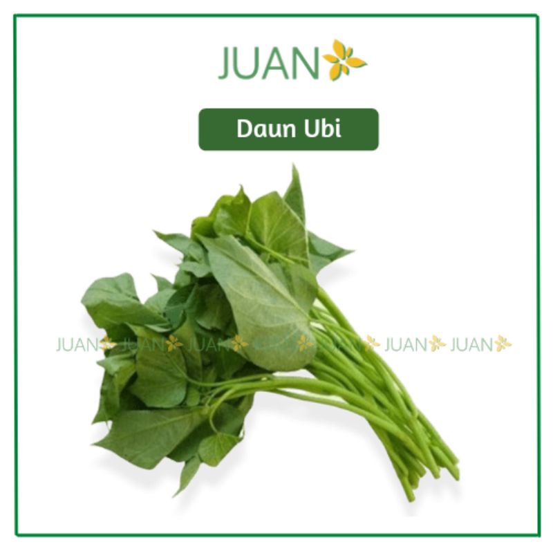 

Daun Ubi 1 Ikat - Juan Freshmart