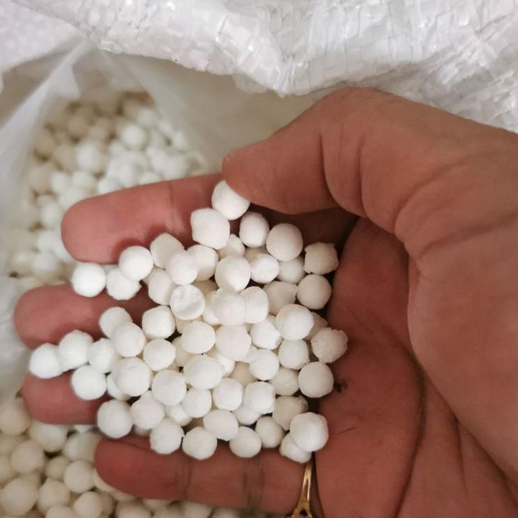 

(PROMO 9D893) Sagu Mutiara Thailand Kecil / Besar Sago Pearl ✶