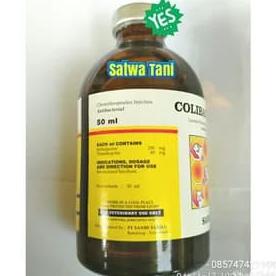Hanya Disini] Colibact Inj. 50 Ml (Obat Pencernaan Dan Pernafasan Ampuh)