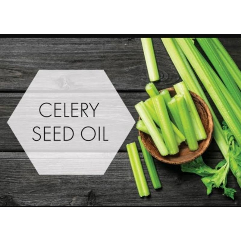 

Celery Seed Oil 5 ml/Natural Oil/Code BK