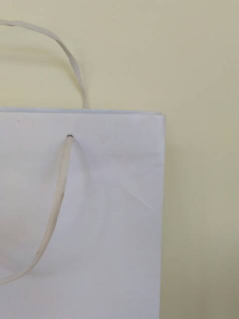 (1 PCS) PAPERBAG PUTIH L POLOS (ALAS 25x12 X TINGGI 33)