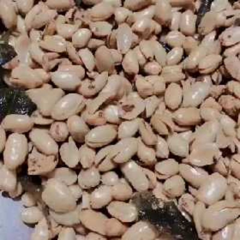 

KACANG BAWANG 1/2 KG