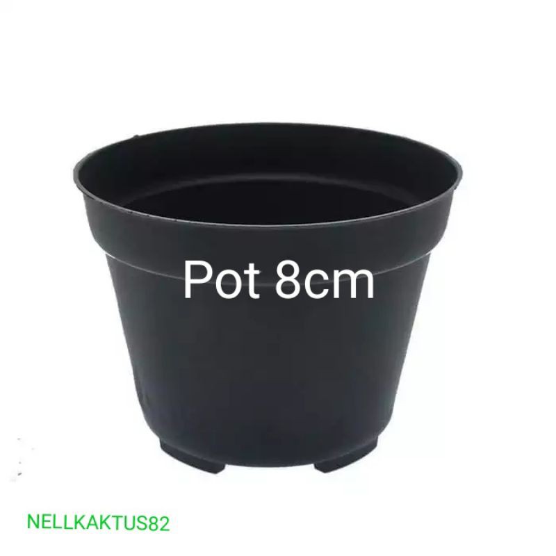 POT PLASTIK/POT HITAM/POT TANAM/POT KAKTUS DAN SUKULEN/POT 8cm