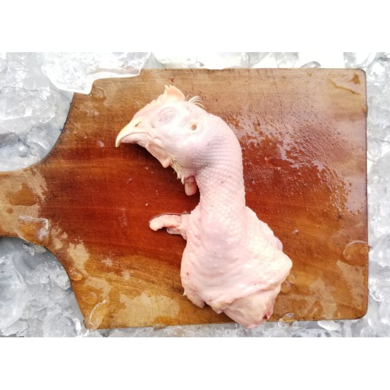 

KEPALA AYAM SEGAR 500gr PREMIUM QUALITY