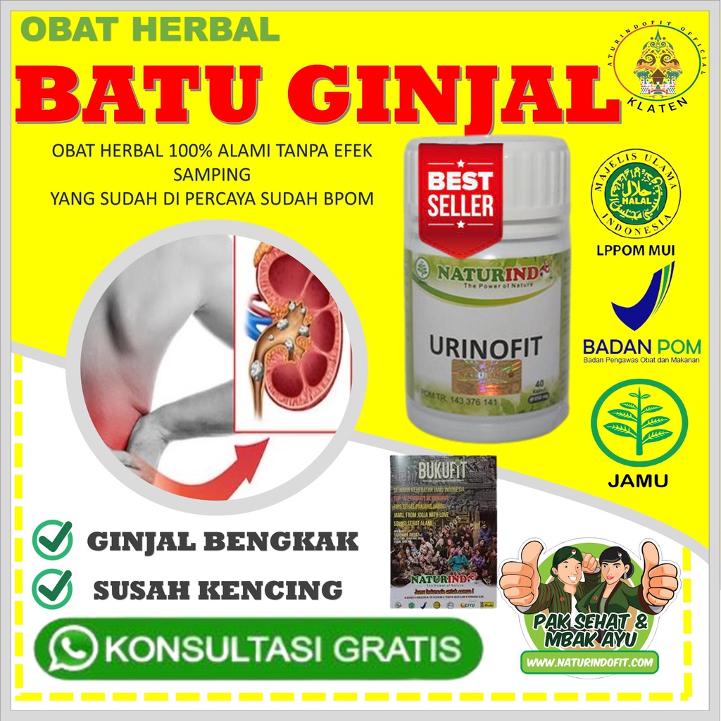 obat batu ginjal paling ampuh  obat batu ginjal naturindo  obat batu ginjal dan pinggang sakit  obat