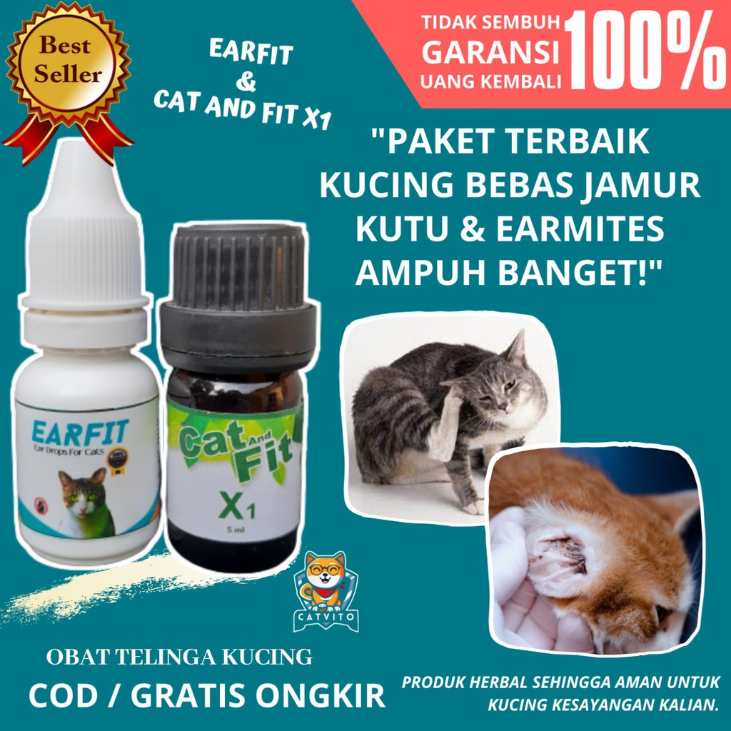 PAKET AMPUH! Cat And Fit X1 dan EarFit Untuk Mengatasi Kutu Tungau Jamur Earmites Kucing Scabies