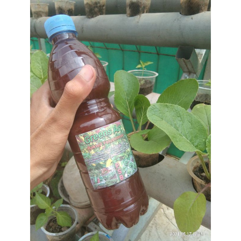 Fotosintesis bakteri (PSB) 600ml