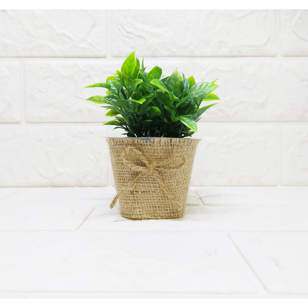 Rumputtiga Hijau Segar Pot Burlap Kecil Pajangan Unik Cantik