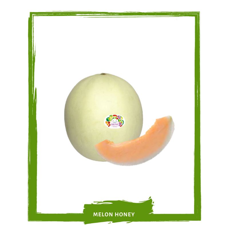 

Melon Honey / Buah Buahan Segar Off Mallahrizwa