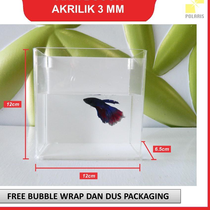 ♠ SOLITER AKRILIK SELFIE IKAN CUPANG ✵