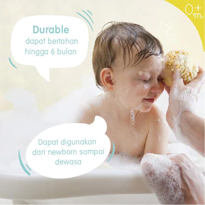 Bellini Natural Sea Sponges Honeycom - Sponge Mandi Bayi