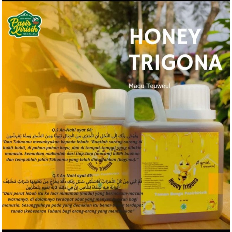 

madu trigona murni