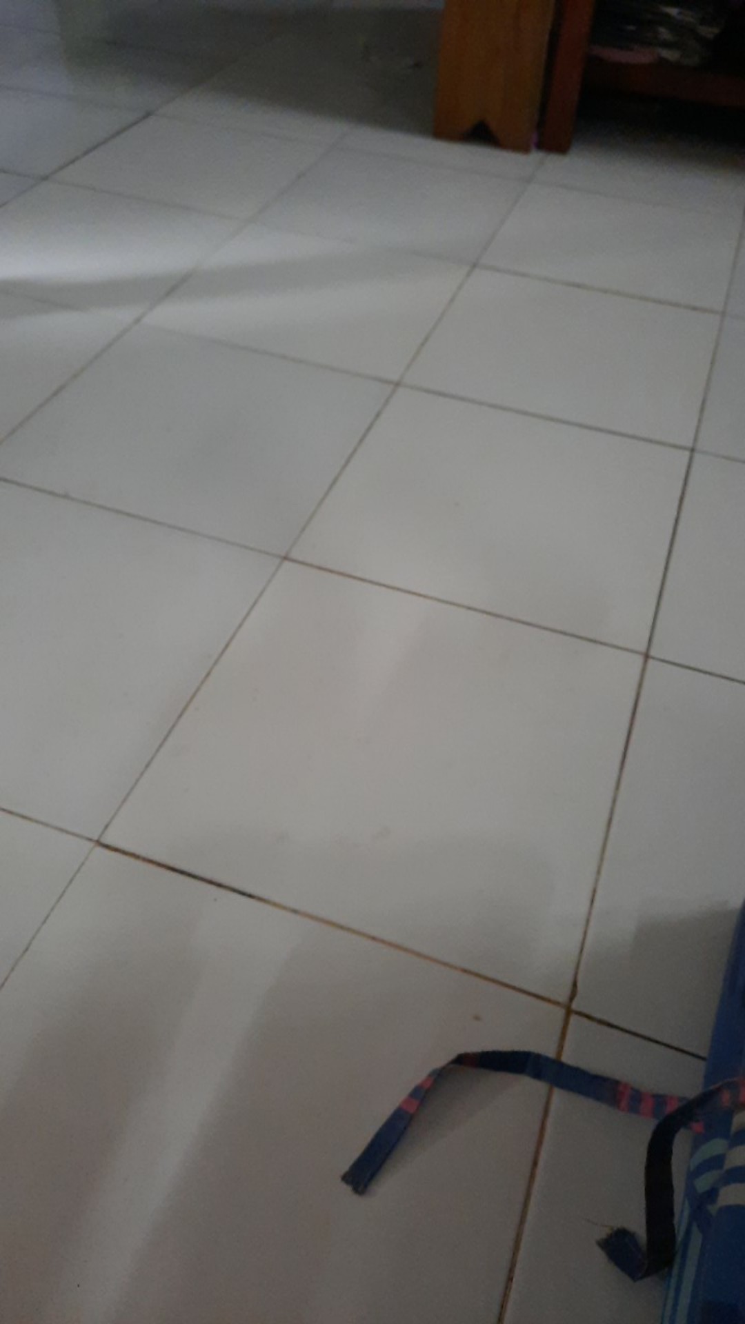 Filter / Saringan Pompa Air Dc 12v Dinamo Sprayer Water Pump Best Seller