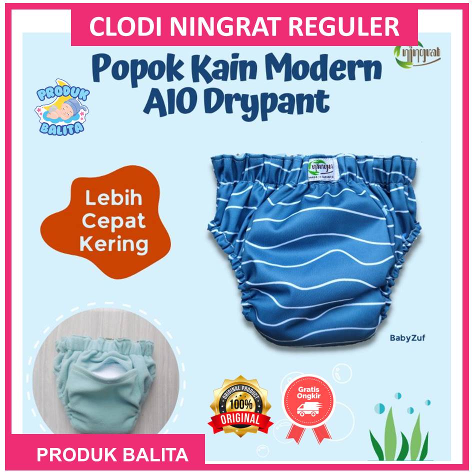 Clodi Bayi NIngrat Drypant Reguler Full Motif BB 5-17 Kg Popok Clodi Kain Cuci Ulang Murah