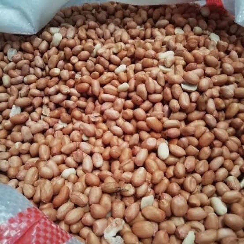 

Kacang Tanah kulit & kupas kulit 250gr