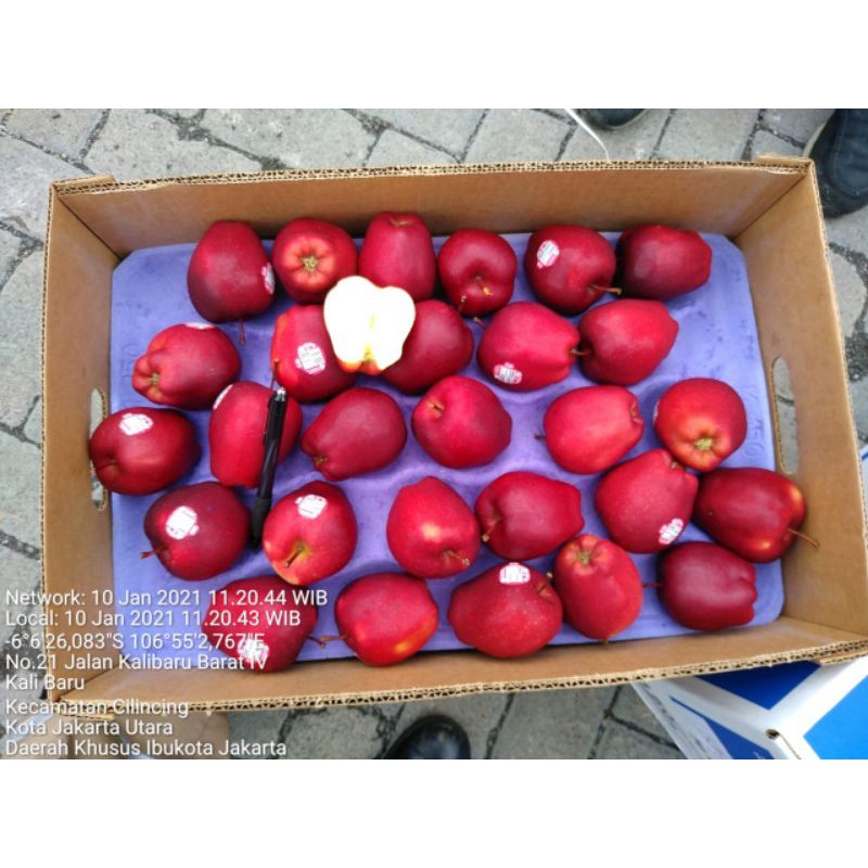 

apel merah super 1 kg