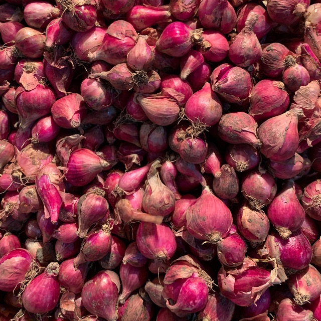 

PASAR ONLINE MURAH - BAWANG MERAH UKURAN CAMPUR