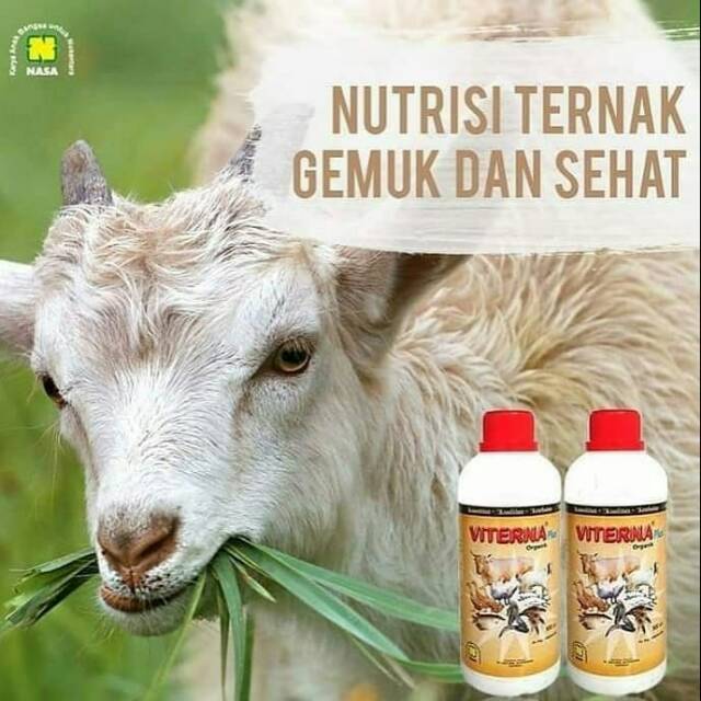 Viterna (Vitamin ternak sapi,kambing,ikan,unggas dll)