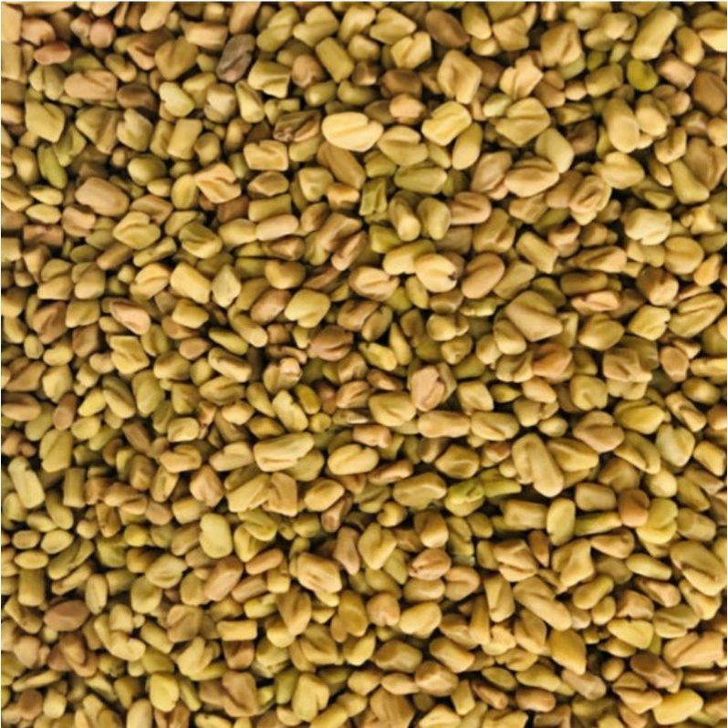 

Klabet/Halba/Alba/Fenugreek seed 100gram.