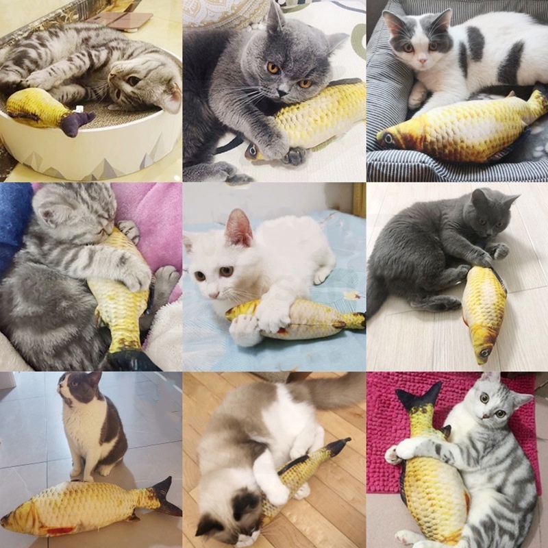 mainan kucing bentuk ikan dan catnip mainan boneka tahan gigitan mainan kucing