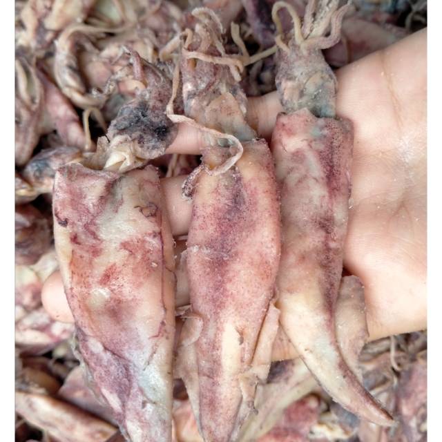 

Cumi asin gepeng 500gr