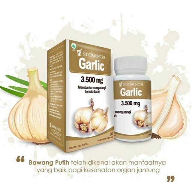 

Garlic -Sidomuncul-Mengurangi Lemak darah