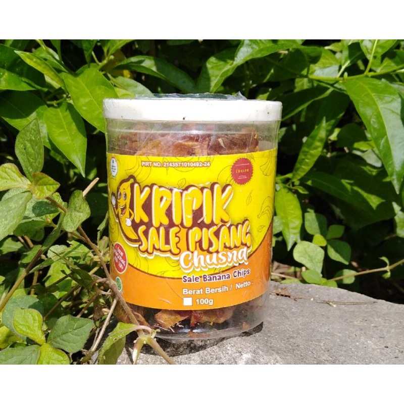 

CHUSNAfoodkripiksalepisang100g