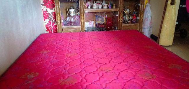 Springbed Bearland Deluxe All Size (harga Promo)