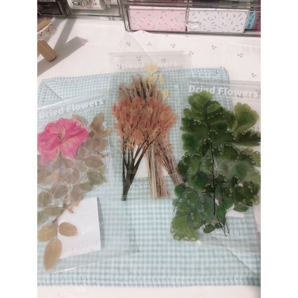 

Sticker Dried Flowers |Sticker Journal |Sticker Aesthetic |Stocker Korea