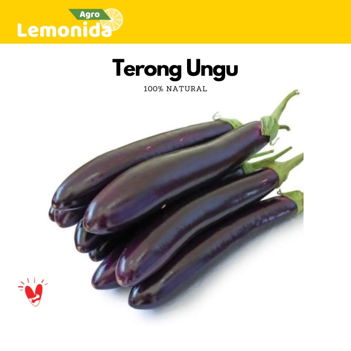 

Terong Ungu Grade A