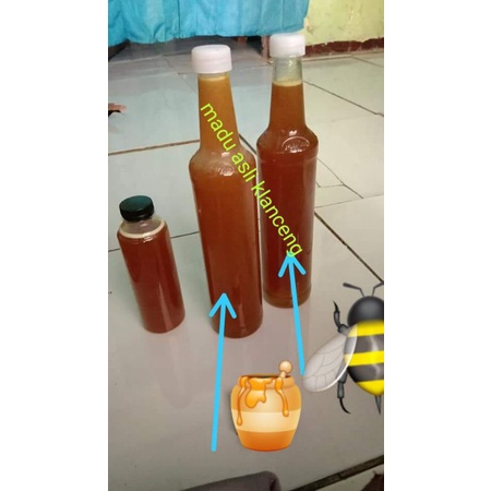 

madu lebah klanceng