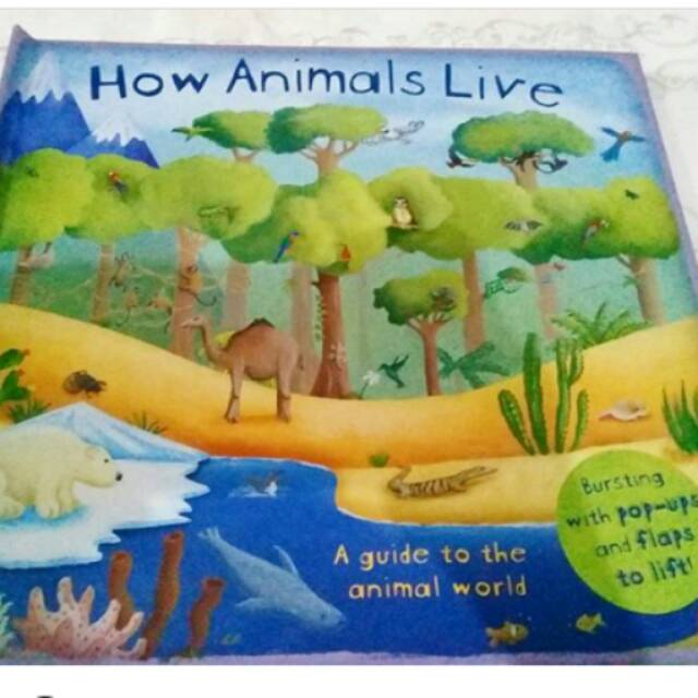 How Animals Live