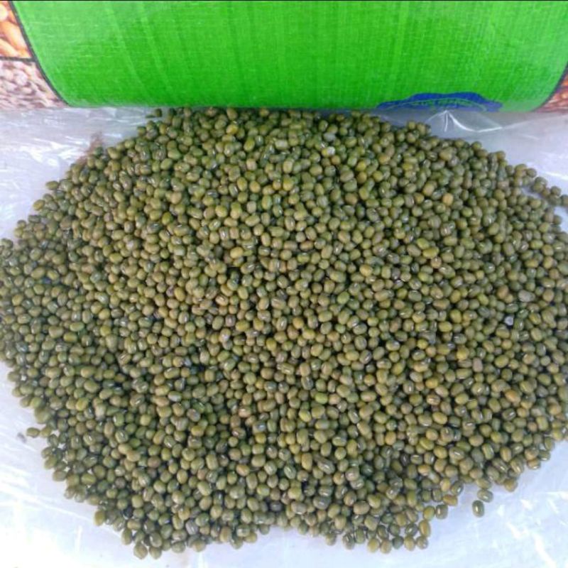 

Kacang Hijau Berat 500 Grm