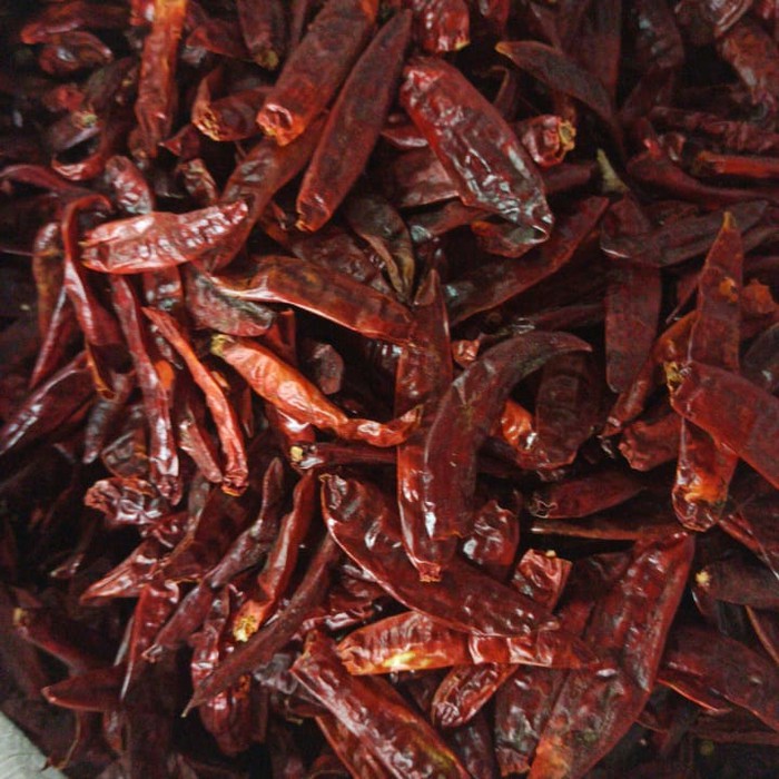 

Promo Terbatas - Cabe Kering Caplak Isi 1 Kg / Cabai Kering / Cabai Merah