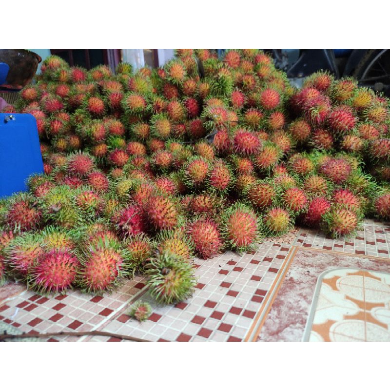 

Rambutan Binjai