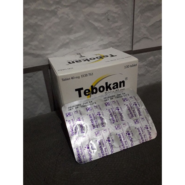 TEBOKAN 40 MG (STRIP 10 TABLET) MENGANDUNG EXTRAK GINKGOFLAVON EGB 761