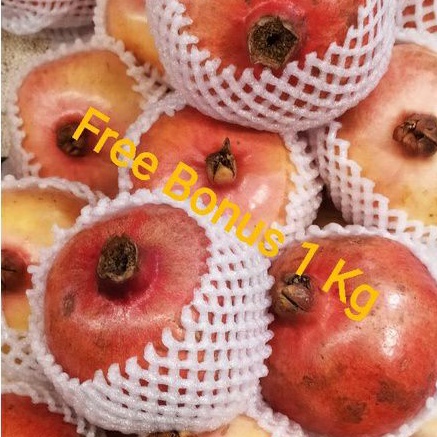 

Buah Delima Merah Import Jumbo Per Pcs + Gratis Bonus