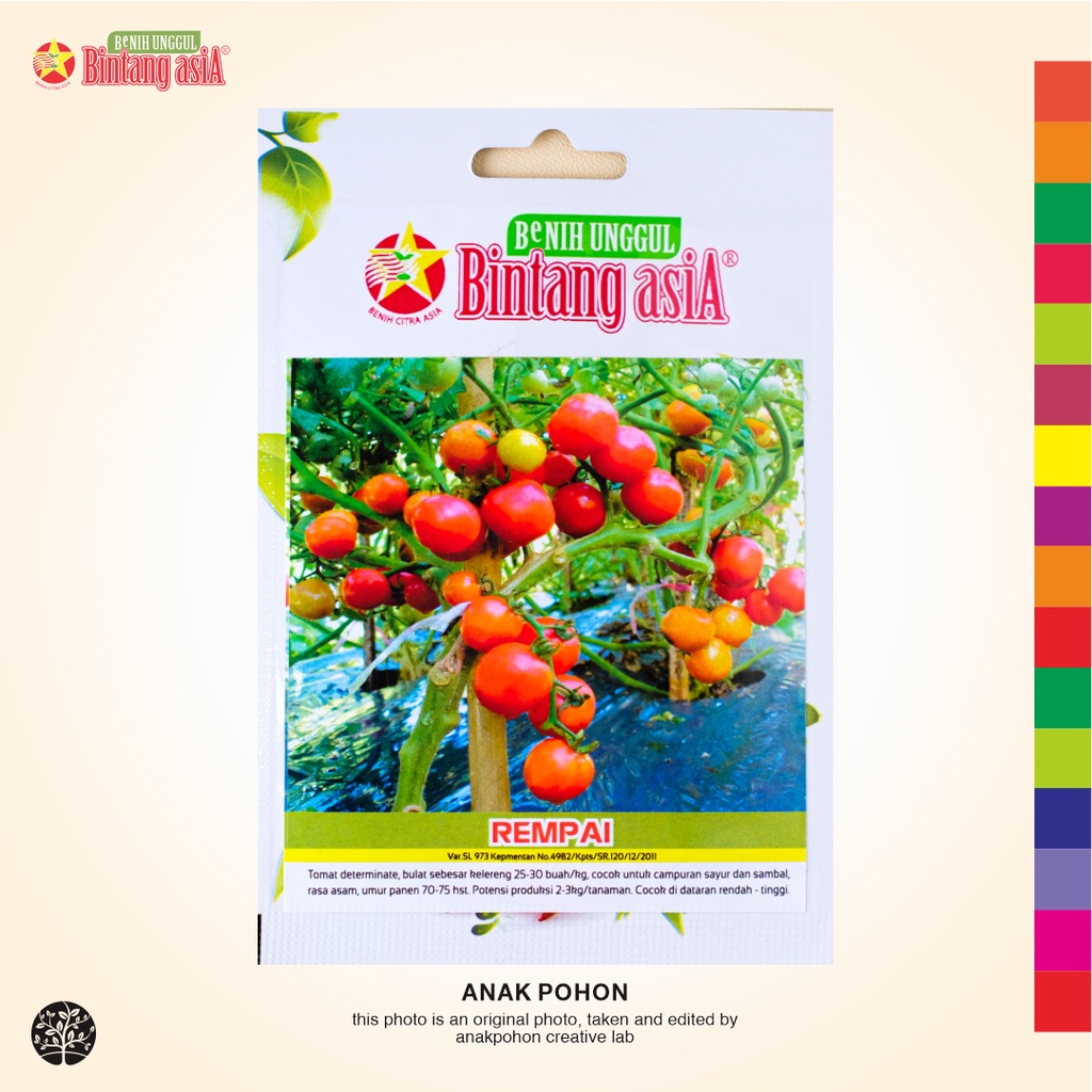 (1 PACK) Benih Tomat Sayur / Sambal REMPAI Hibrida F1 Seeds - BINTANG ASIA - 400 SEEDS / 1 GRAM