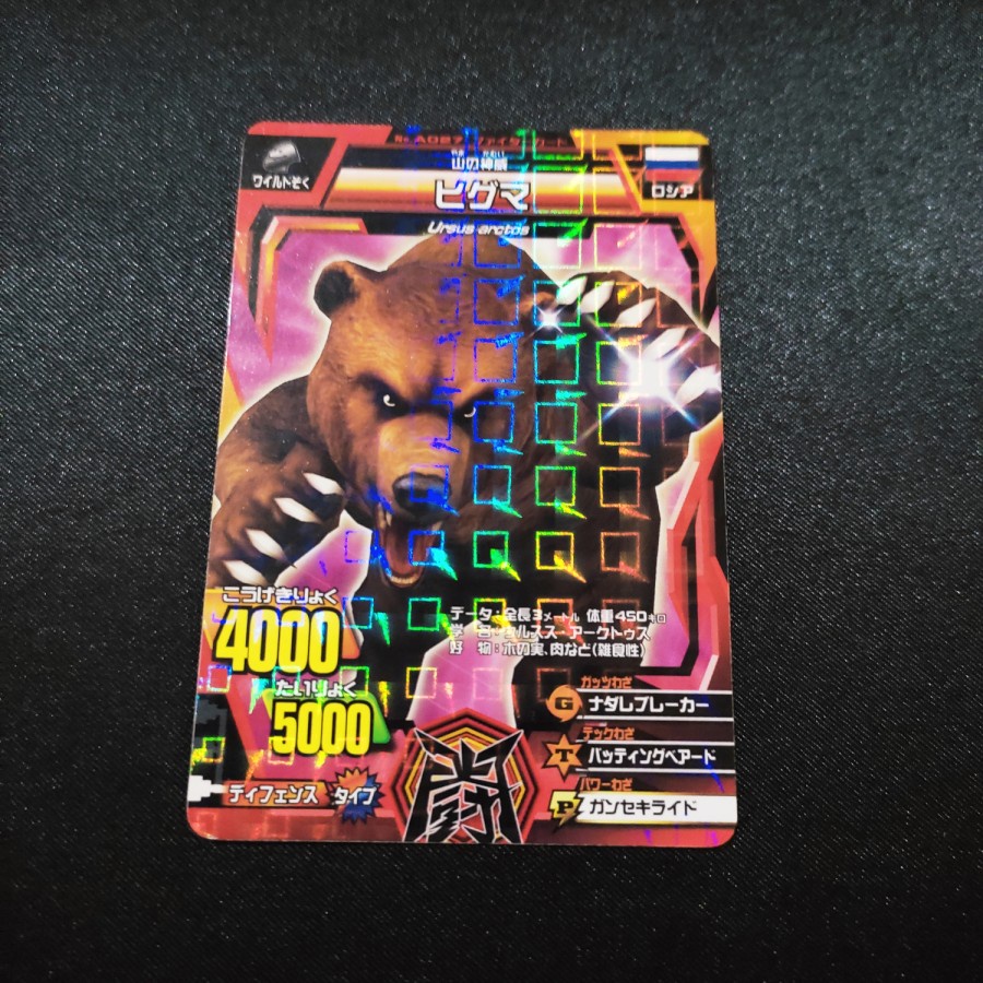 kartu animal kaiser ursus arctos brown bear ori japan card
