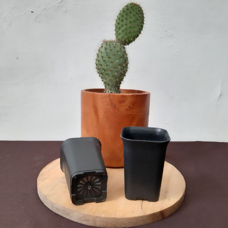 Pot Kotak 5 cm