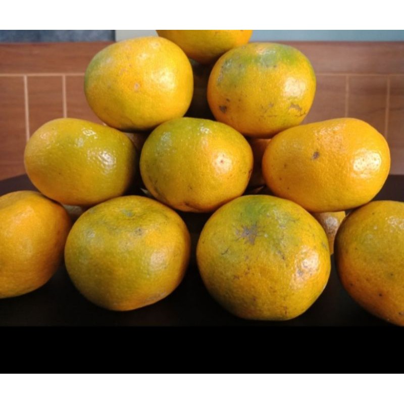 

JERUK MADU BRASTAGI MANIS 1 KG