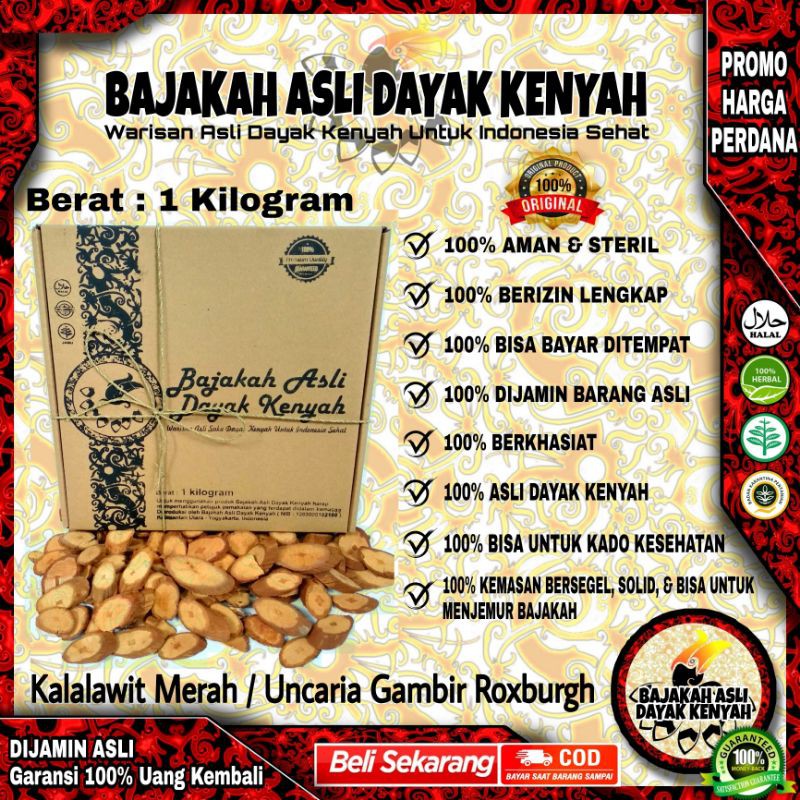 

BAJAKAH KALALAWIT MERAH 1KG - UNCARIA GAMBIR ROXB - BAJAKAH ASLI DAYAK KENYAH