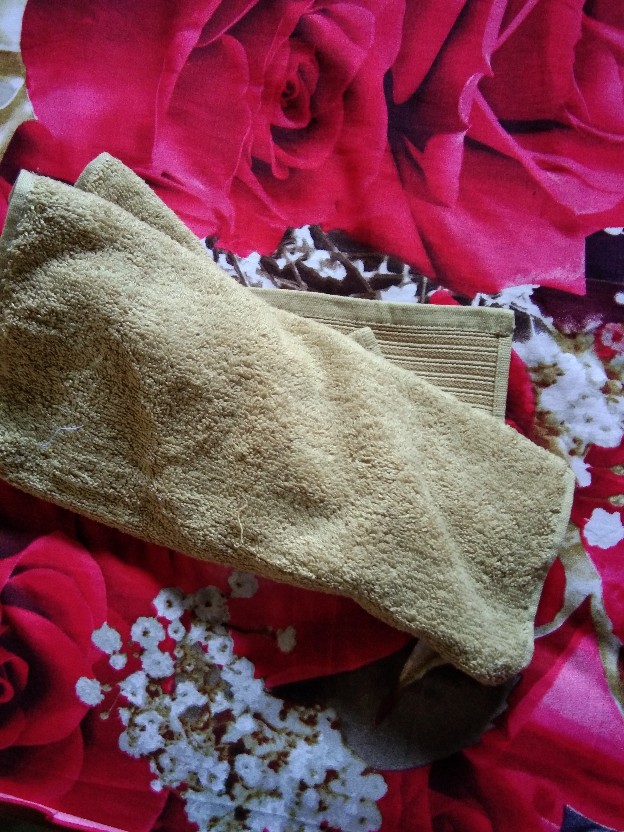 Rc Terry Palmer Handuk Muka / Olahraga / Sport Eternal 34x80cm / Handuk Travel