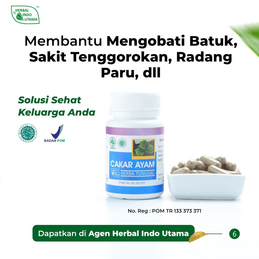 HIU Cakar Ayam Kapsul Herbal Cakar Ayam
