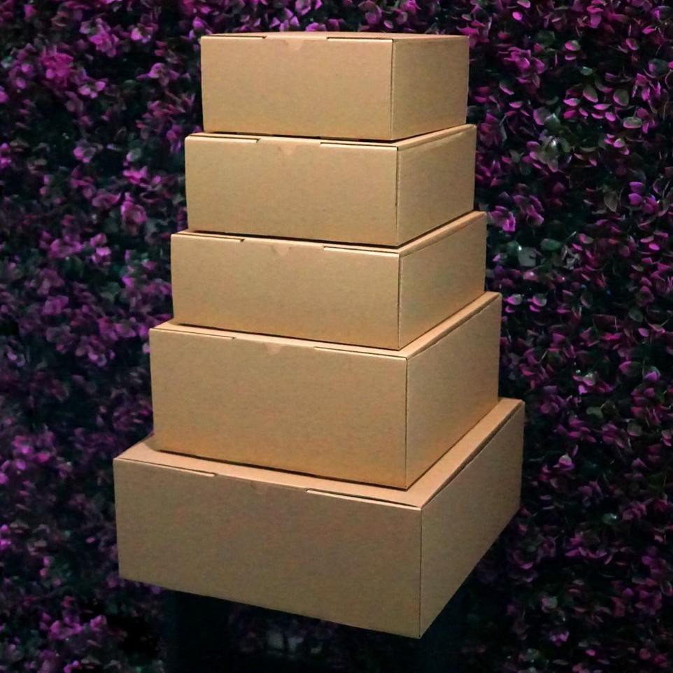 

STAR Kotak Packaging Polos Tinggi 30 x 30 x 12 cm - Pizza Box - Bentuk Kotak